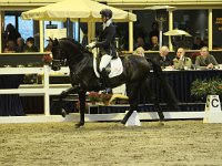 Don Tango 201113_1787